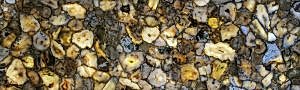 Agate Atena