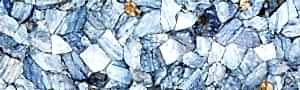 Agate Moss With Ammonites