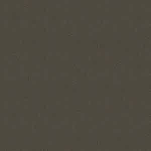 Amazon Silestone