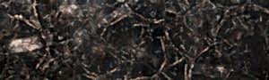 Black Petrified Wood