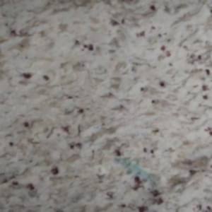 chida white granite