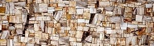 Jurassic-Petrified Wood Light