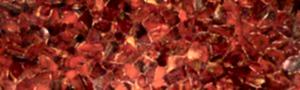 Red Jasper With Gold