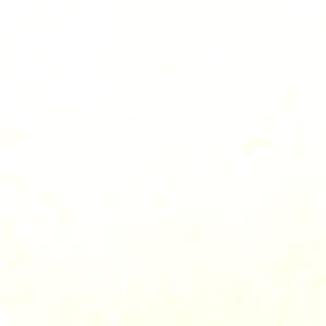 Shara Beige Belenco