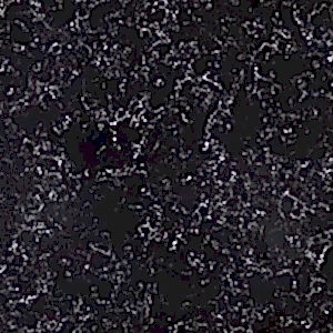 Spa Black Belenco