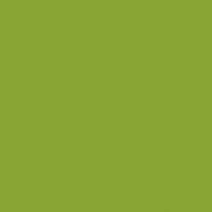 Verde Fun Silestone