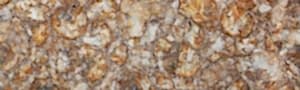 Yellow Petrified Wood
